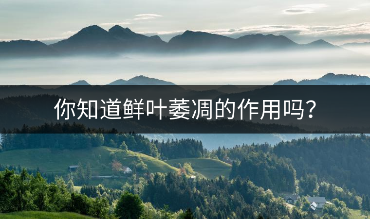 你知道鮮葉萎凋的作用嗎？