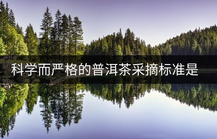 科學(xué)而嚴(yán)格的普洱茶采摘標(biāo)準(zhǔn)是優(yōu)質(zhì)原料的保證