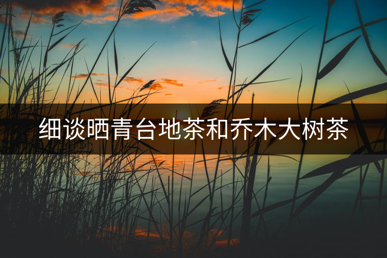 細(xì)談曬青臺(tái)地茶和喬木大樹(shù)茶
