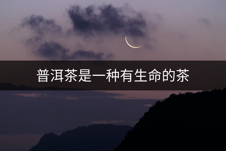 普洱茶是一種有生命的茶
