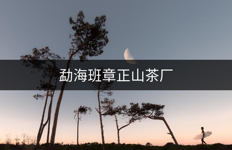 勐海班章正山茶廠 勐海班章正山茶廠