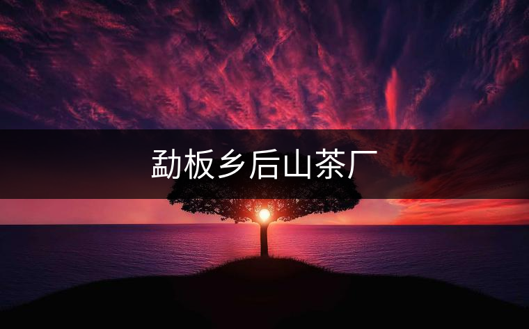 勐板鄉(xiāng)后山茶廠 勐板鄉(xiāng)后山茶廠