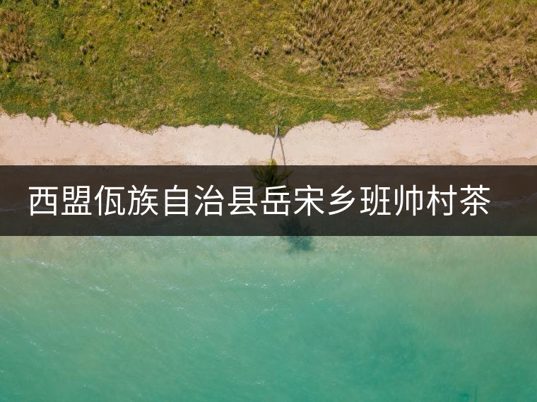 西盟佤族自治縣岳宋鄉(xiāng)班帥村茶廠 西盟佤族自治縣岳宋鄉(xiāng)班帥村茶廠