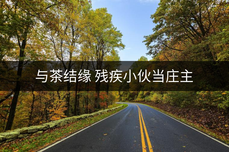 與茶結(jié)緣 殘疾小伙當莊主 與茶結(jié)緣 殘疾小伙當莊主