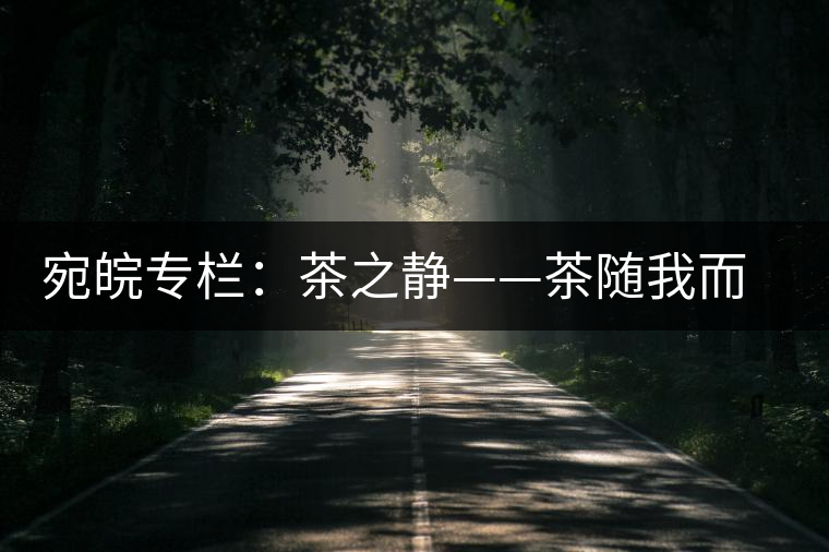 宛皖專欄：茶之靜——茶隨我而靜