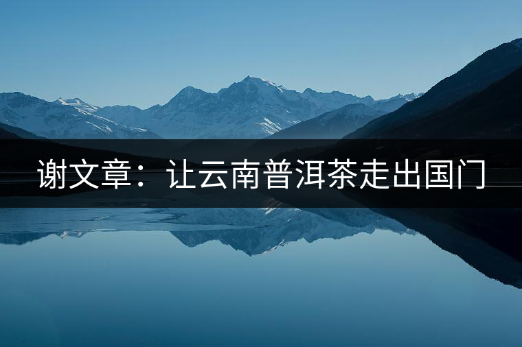 謝文章：讓云南普洱茶走出國(guó)門