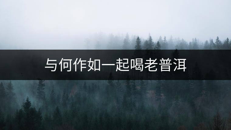 與何作如一起喝老普洱