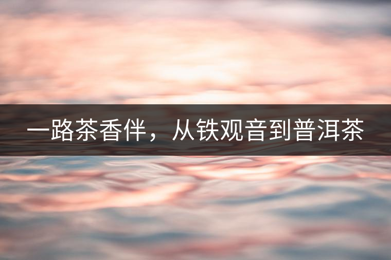 一路茶香伴，從鐵觀音到普洱茶