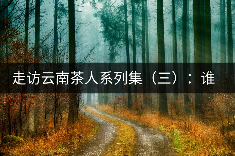 走訪云南茶人系列集（三）：誰說普洱不產(chǎn)茶？——張順高