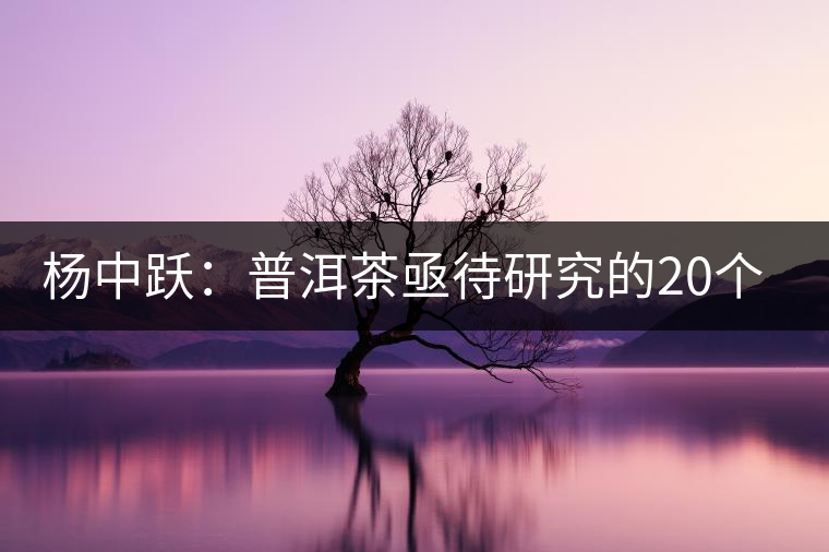 楊中躍：普洱茶亟待研究的20個(gè)問題