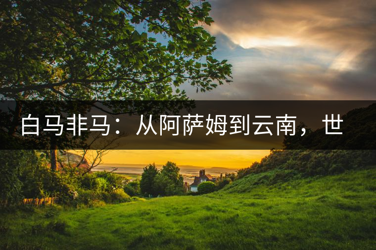 白馬非馬：從阿薩姆到云南，世界茶樹(shù)起源爭(zhēng)論的誤區(qū)