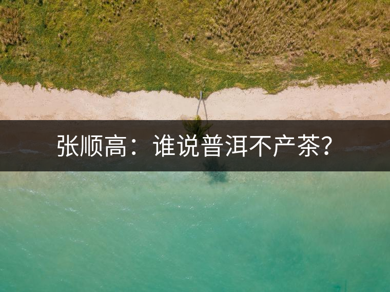 張順高：誰說普洱不產(chǎn)茶？