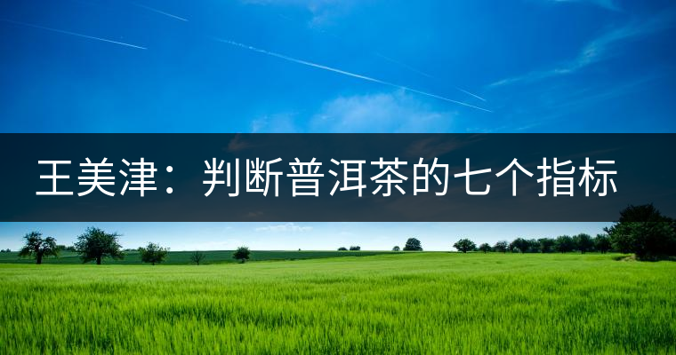 王美津：判斷普洱茶的七個指標(biāo) 之形