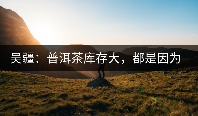 吳疆：普洱茶庫存大，都是因為“越陳越香”