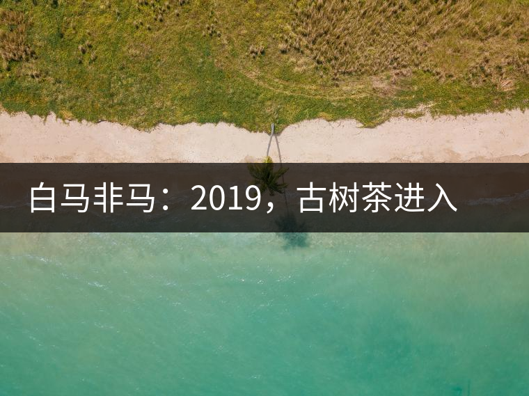 白馬非馬：2019，古樹茶進(jìn)入醇料時(shí)代