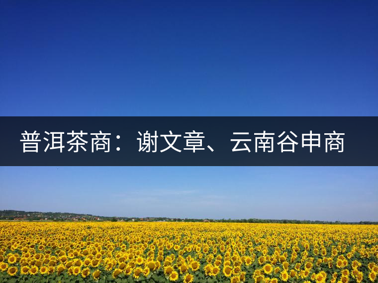 普洱茶商：謝文章、云南谷申商貿(mào)有限公司總經(jīng)理