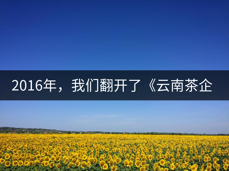 2016年，我們翻開了《云南茶企發(fā)展白皮書》