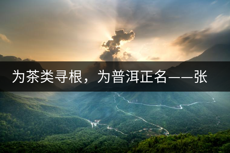 為茶類尋根，為普洱正名——張宏達(dá)的普洱茶研究