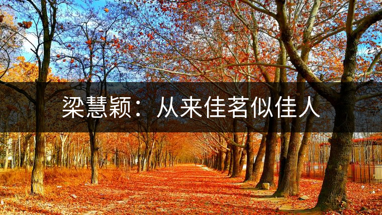 梁慧穎：從來佳茗似佳人