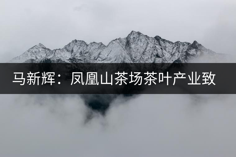 馬新輝：鳳凰山茶場(chǎng)茶葉產(chǎn)業(yè)致富帶頭人