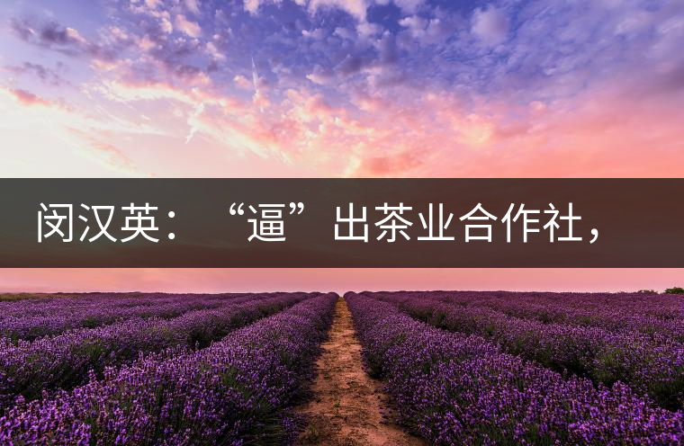 閔漢英：“逼”出茶業(yè)合作社，帶領(lǐng)村民走上致富路