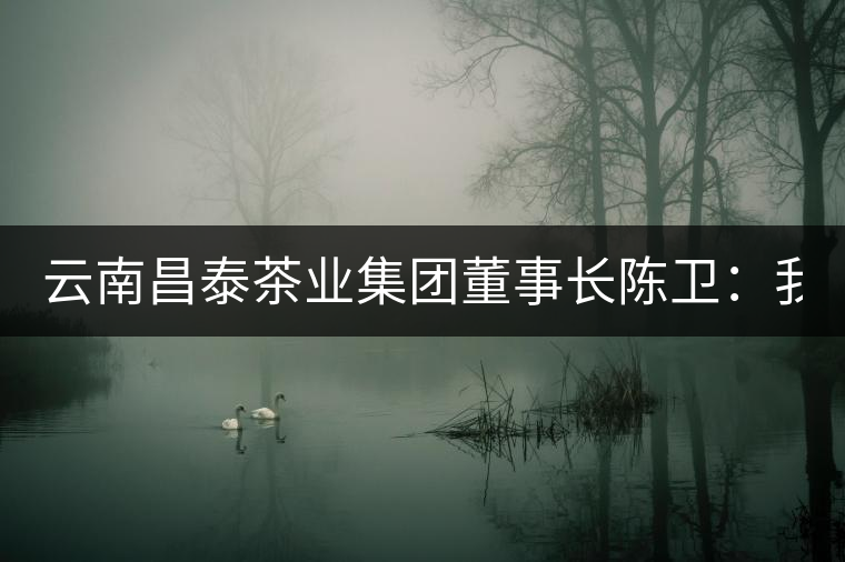 云南昌泰茶業(yè)集團董事長陳衛(wèi)：我為中式文化代言 以品為上
