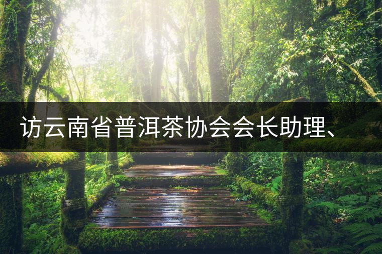 訪云南省普洱茶協(xié)會(huì)會(huì)長(zhǎng)助理、副秘書(shū)長(zhǎng)、茶界名人張明春
