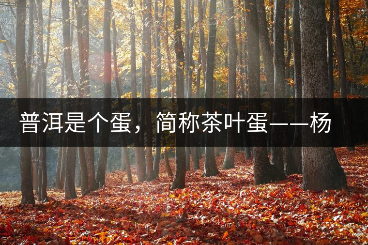 普洱是個(gè)蛋，簡(jiǎn)稱(chēng)茶葉蛋——楊鎮(zhèn)瑜訪談錄