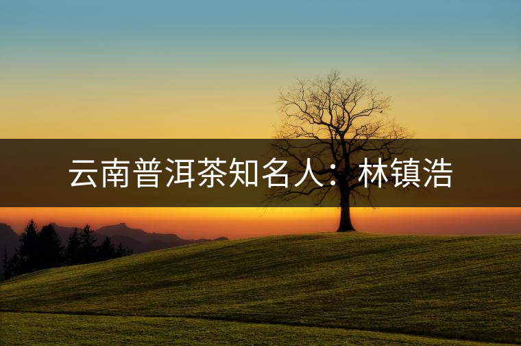 云南普洱茶知名人：林鎮(zhèn)浩
