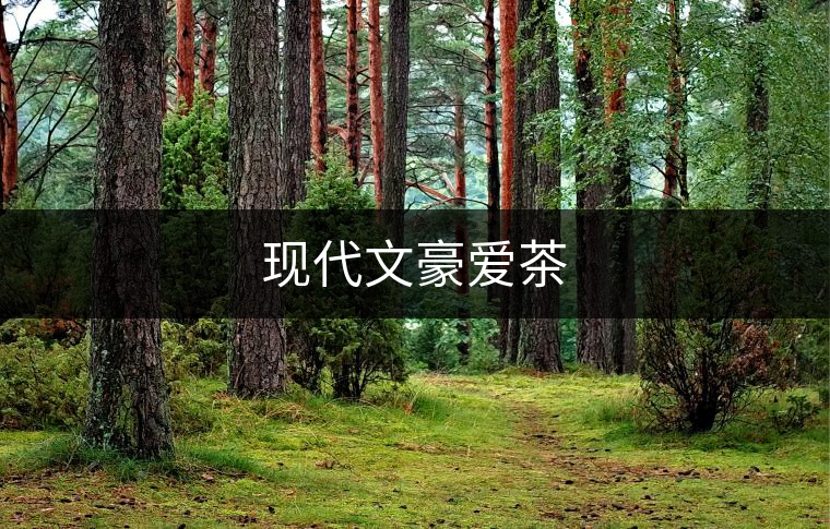 現(xiàn)代文豪愛茶