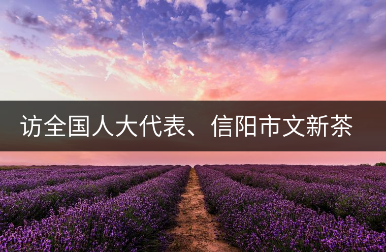 訪全國人大代表、信陽市文新茶葉有限責(zé)任公司董事長劉文新