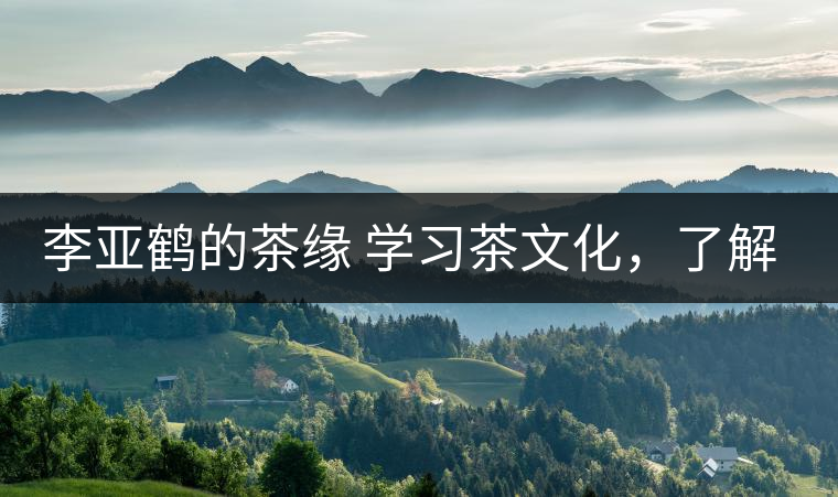 李亞鶴的茶緣 學(xué)習(xí)茶文化，了解茶文化，品味茶文化