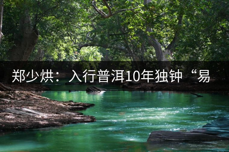 鄭少烘:入行普洱10年獨鐘“易武山頭” 鄭少烘:入行普洱10年獨鐘“易武山頭”