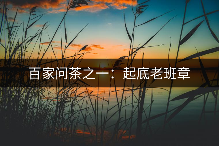 百家問(wèn)茶之一：起底老班章