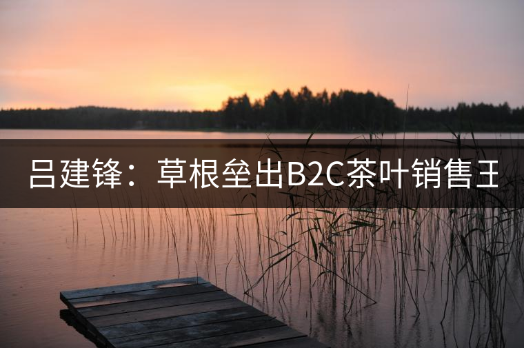 呂建鋒:草根壘出B2C茶葉銷售王國51普洱網 呂建鋒:草根壘出B2C茶葉銷售王國51普洱網