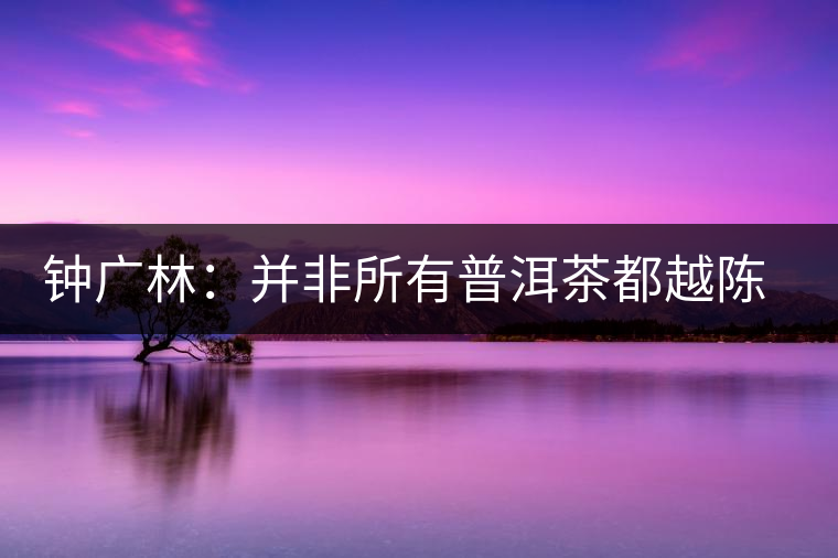 鐘廣林：并非所有普洱茶都越陳越香