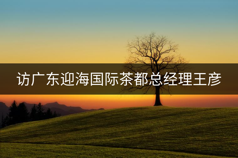 訪廣東迎海國(guó)際茶都總經(jīng)理王彥