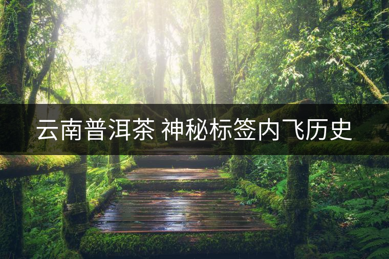 云南普洱茶 神秘標(biāo)簽內(nèi)飛歷史