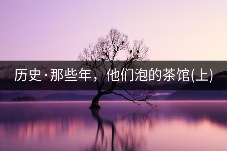 歷史·那些年，他們泡的茶館(上)