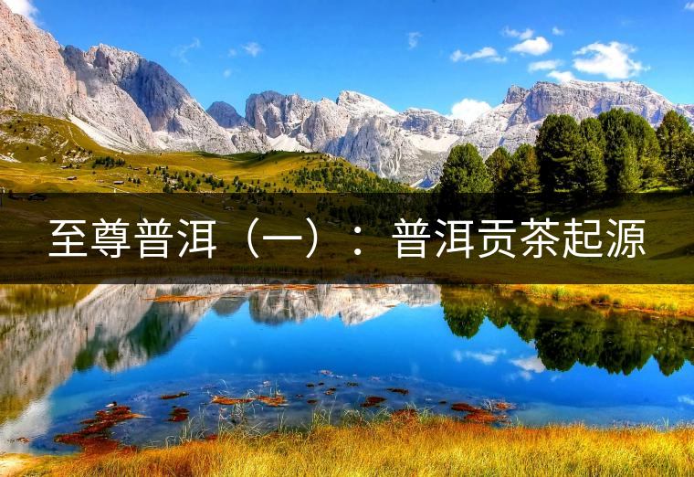 至尊普洱（一）：普洱貢茶起源