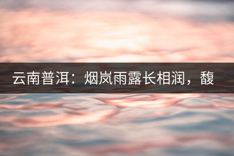 云南普洱：煙嵐雨露長(zhǎng)相潤(rùn)，馥郁芳香久久留