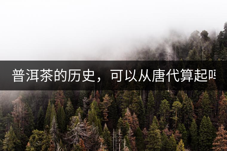 普洱茶的歷史，可以從唐代算起嗎？