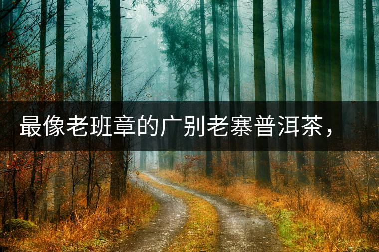 最像老班章的廣別老寨普洱茶，卻是冰島派來的臥底