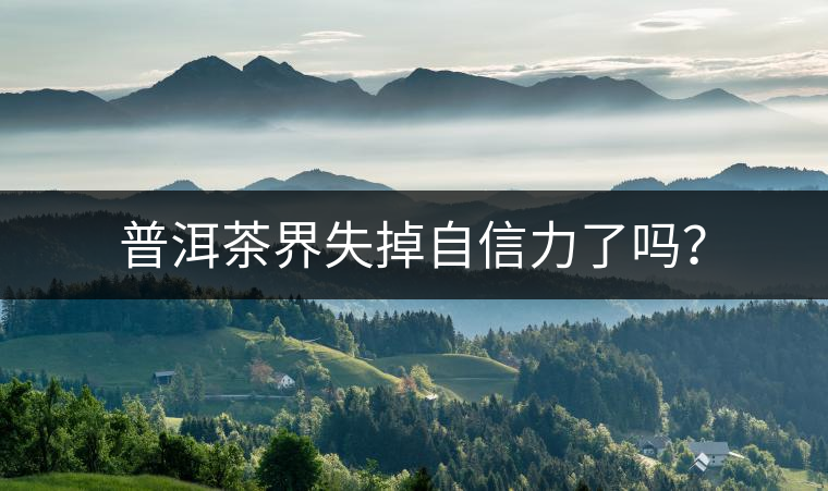 普洱茶界失掉自信力了嗎？