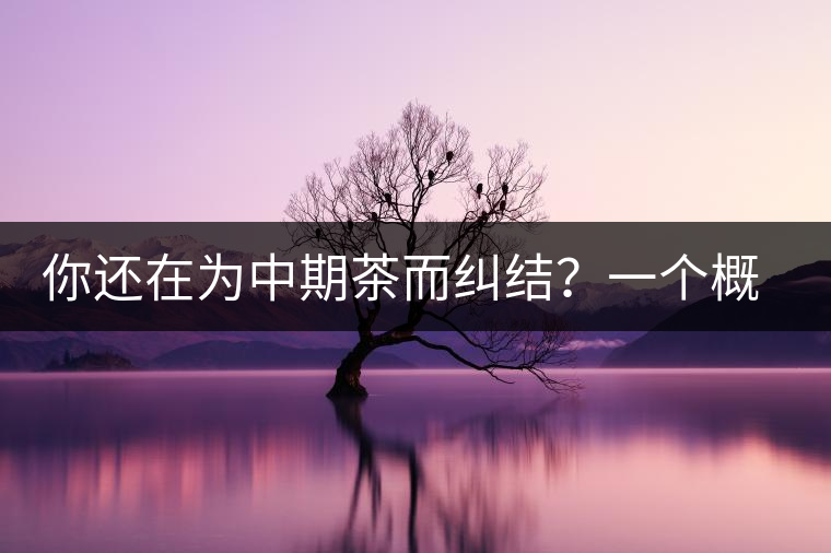 你還在為中期茶而糾結(jié)？一個(gè)概念罷了