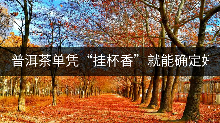 普洱茶單憑“掛杯香”就能確定好壞？you錯(cuò)了！