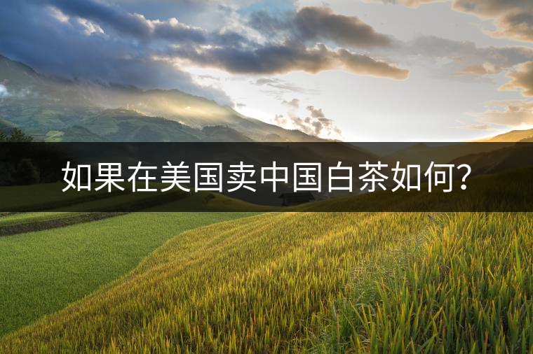 如果在美國(guó)賣(mài)中國(guó)白茶如何？