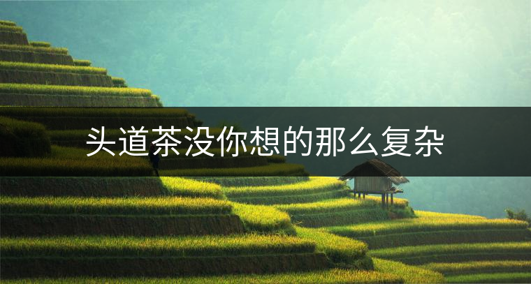 頭道茶沒你想的那么復(fù)雜 頭道茶沒你想的那么復(fù)雜