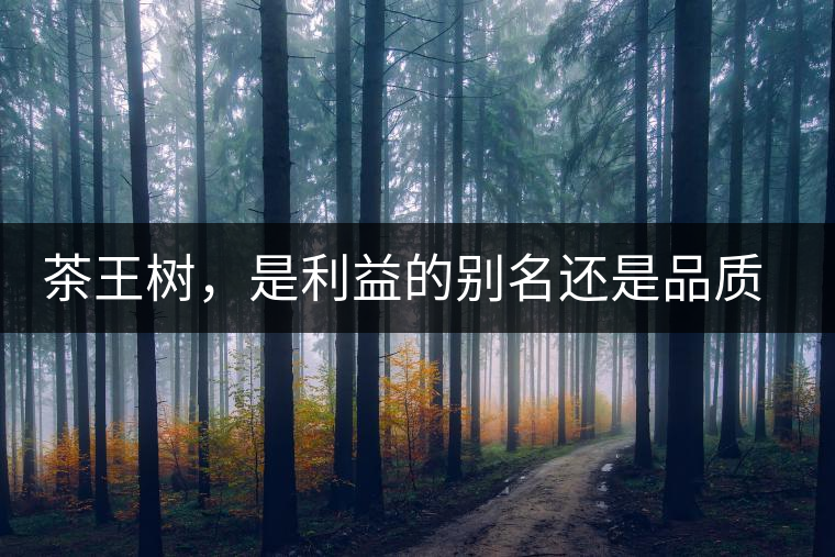 茶王樹，是利益的別名還是品質的象征？