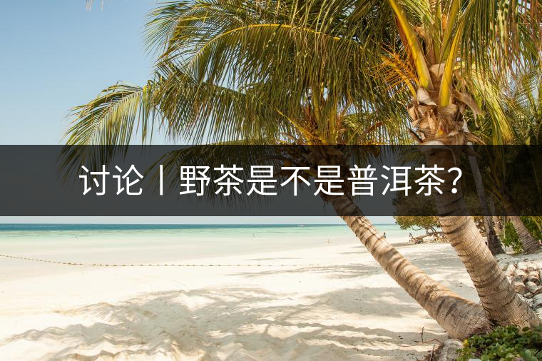 討論丨野茶是不是普洱茶？